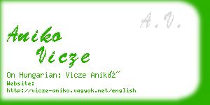 aniko vicze business card